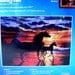 Serenity Counted Cross Stitch Kit by Janlynn, Arabian Horse Cross Stitch Kit, Shalene Lindskog-Osorio