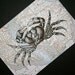 Crab Print - Chesapeake Bay Map Print - 5 x 7 Seashore Print - Maryland and Delaware - Seashore Art