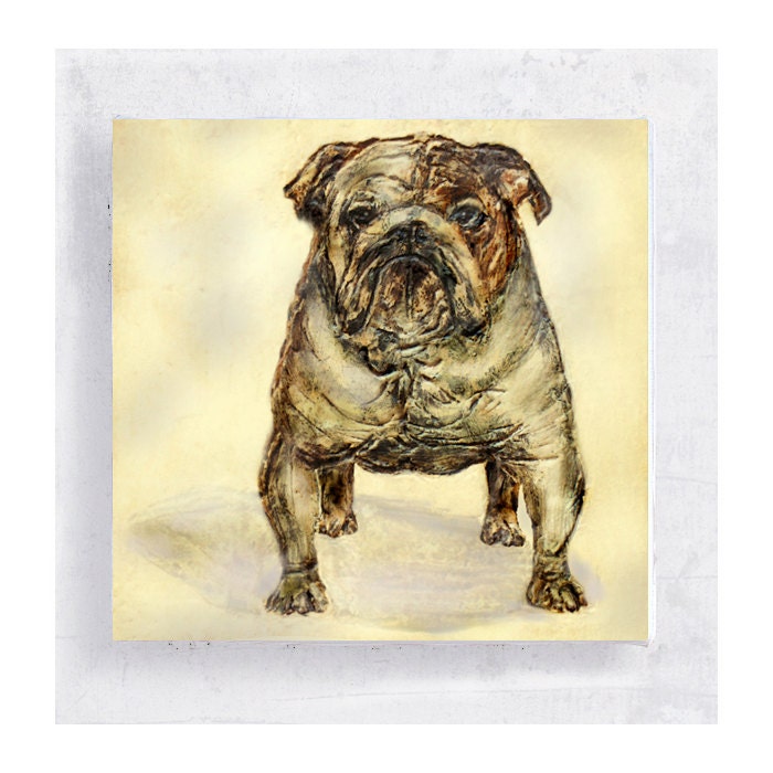 Penny the Bulldog Portrait on 5x5 Canvas Print Art  Block -  Animal Portrait -  Wall Art - Home Decor
