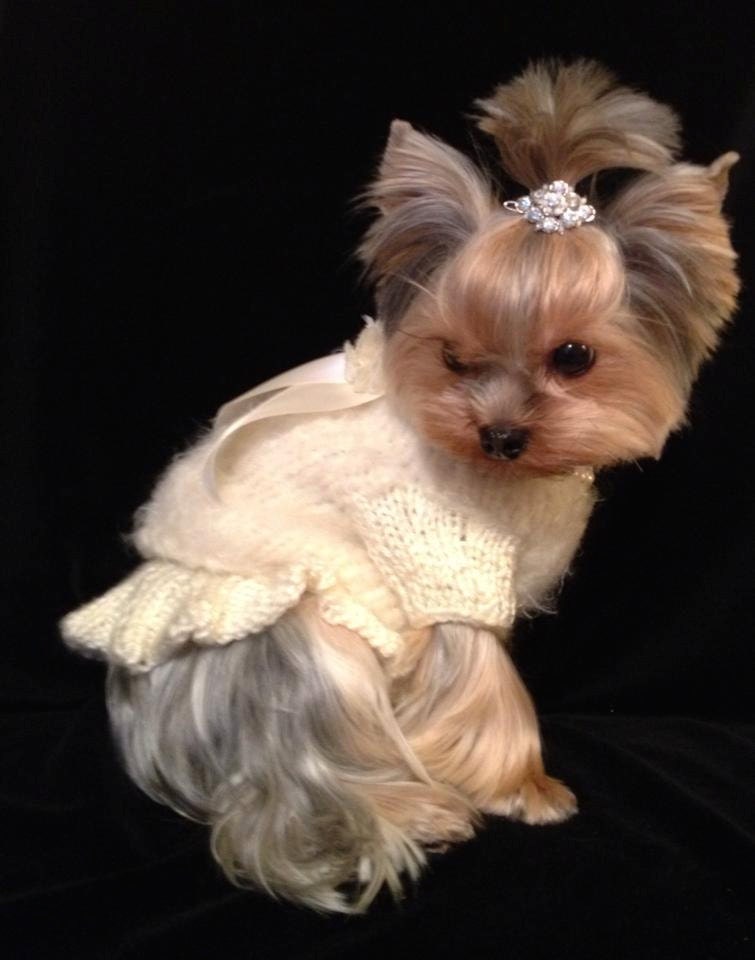 GATSBY GIRL Original Dog Sweater Dress -- Custom -- Hand Knit -- All Sizes and Colors