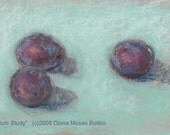 PLUM STUDY -- Original 5x9 inch Impresionist pastel study by Diana Moses Botkin