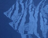 Old Wives Fish Card