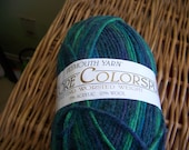 Plymouth Yarn, Encore Colorspun, 1 Skein Knitting Worsted Weight