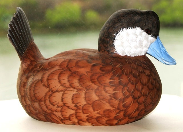 Wood Carving of a Ruddy Duck Drake Decoy