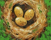 Nest painting 253 12x12 inch original bird nest portrait oil painting by Roz