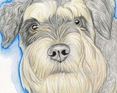 Custom Pet Portrait-5 x 7 Original Pencil Drawing-Dog Cat Bird Art-Carla Smale