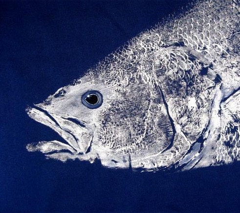 Enormous Striped Bass Head Original GYOTAKU fish rubbing on Navy Cloth