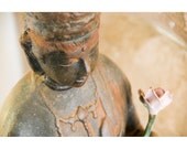 Buddha - 8x12 signed photo