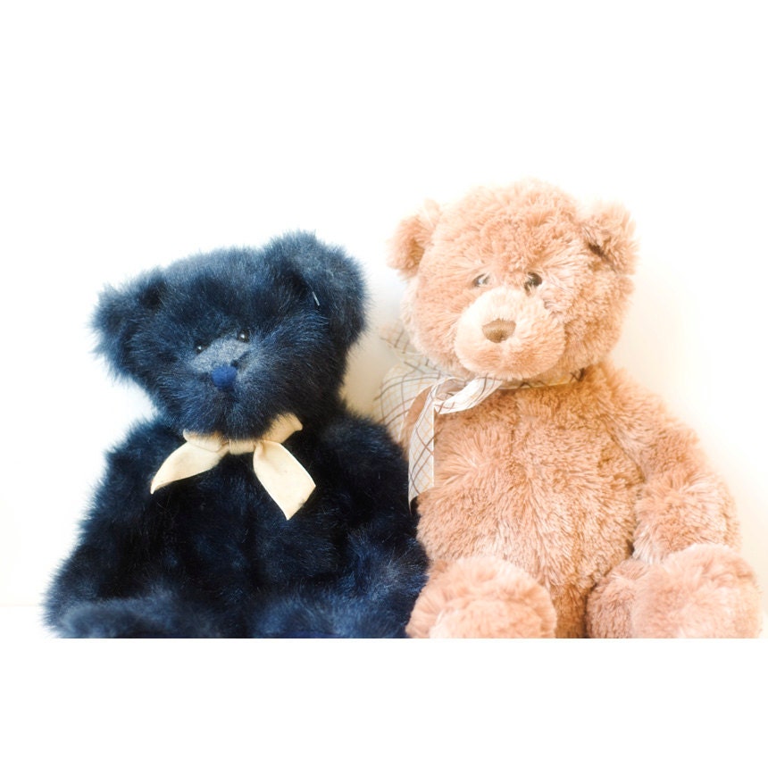 Two Bears - 8x12 signed photo