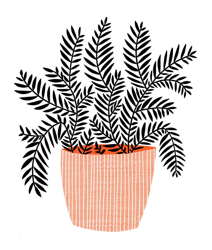 Pot Plant