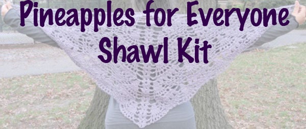 Pineapples for Everyone Kit with 3 skeins of yarn - FREE SHIPPING