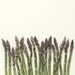 Food photography, still life photography, cooking, minimal kitchen decor, foodie photography, mauve, olive green asparagus
