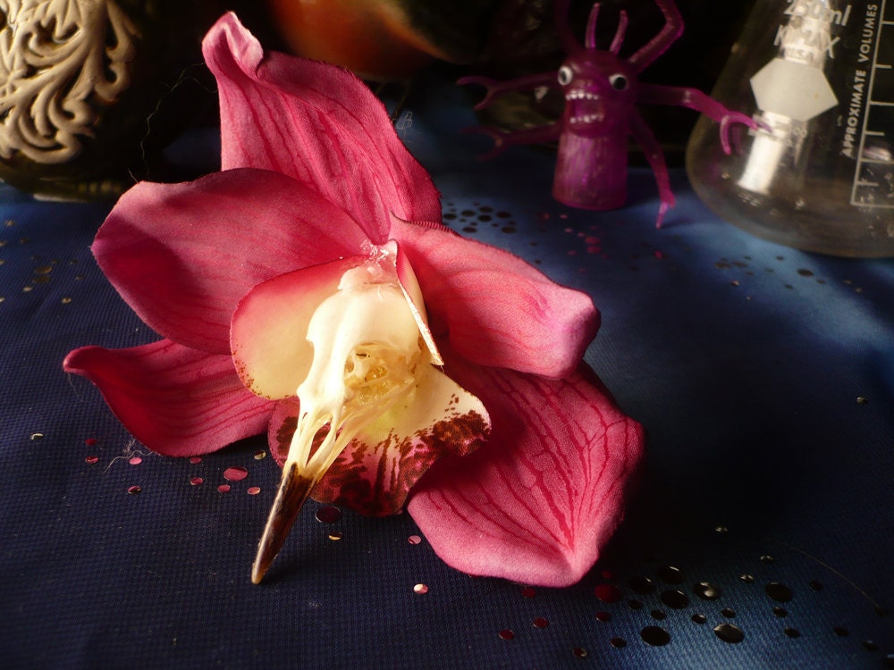 Small Pink Bird Skull Orchid Hair Clip