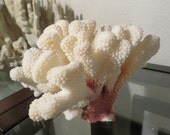 Large Free Standing Natural Coral