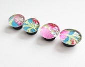 Fuschia Daisy- Glass magnets (NEW)