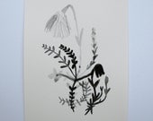 the wayside - botanical series - original watercolour painting