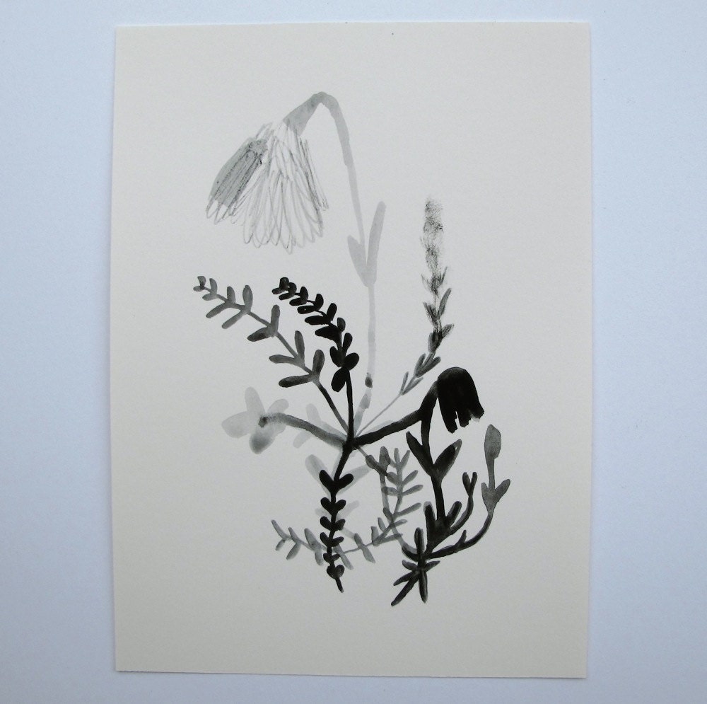 the wayside - botanical series - original watercolour painting