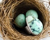 Variscite and Sterling Silver Songbird Ring, HOPE