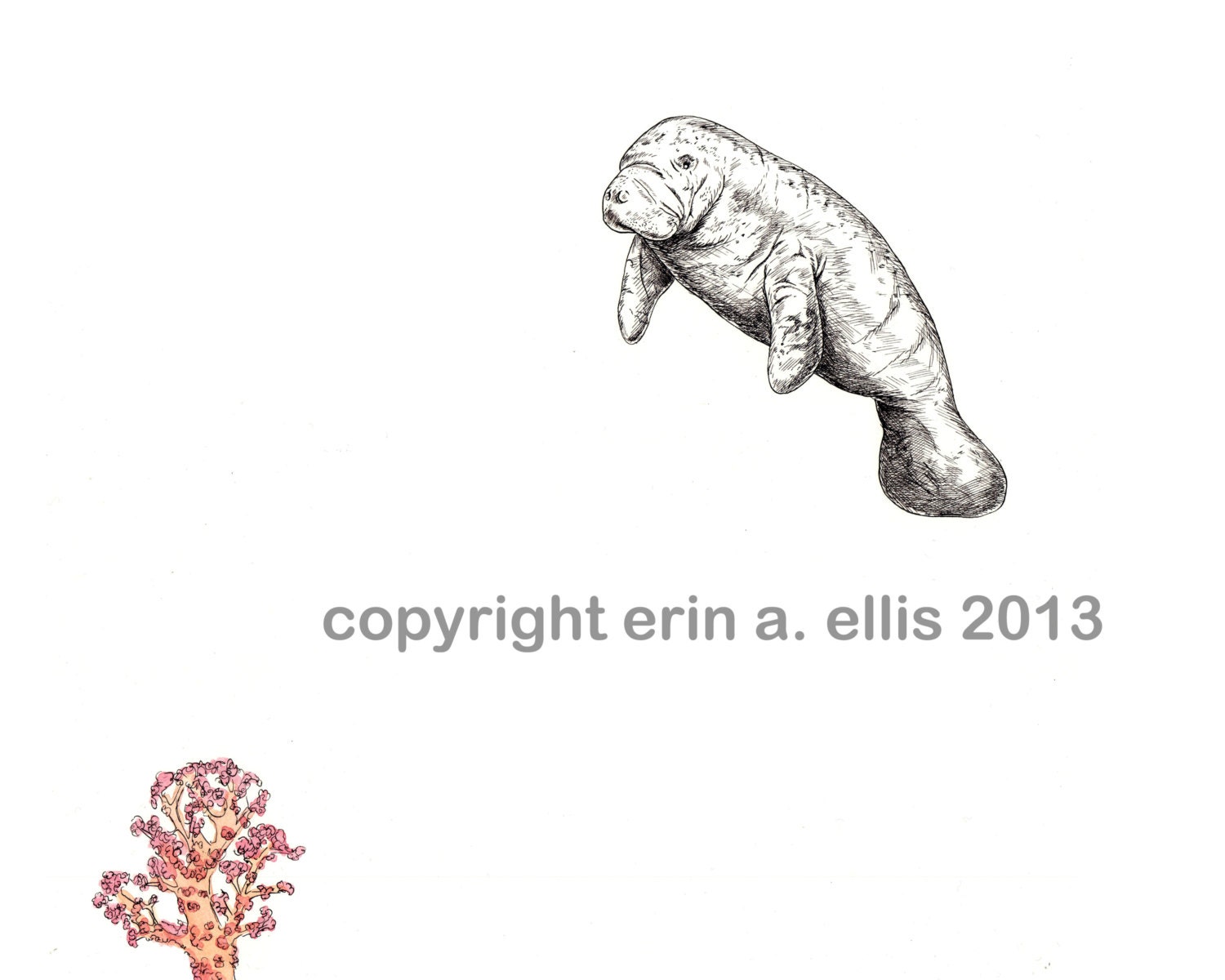 Manatee 5x7 Print
