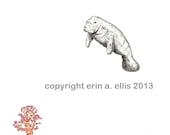Manatee 8x10 Print
