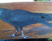 Crow on old pine