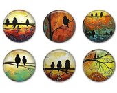 SUNSET BIRD Magnets plus Organza Gift Bag - Set of Six - 1.25 inches