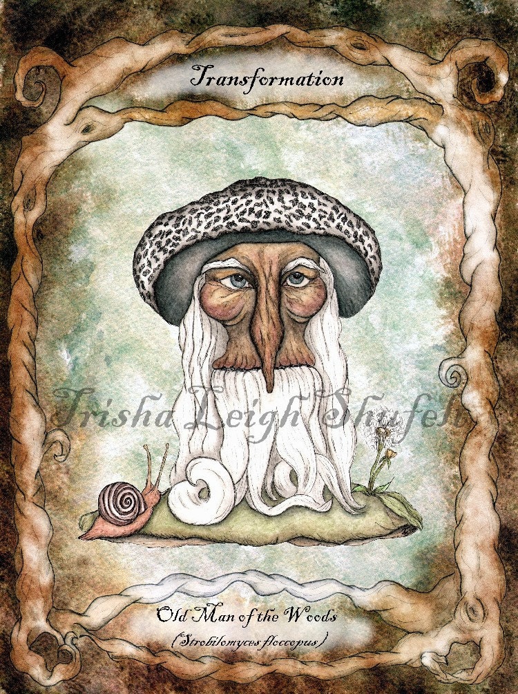 Mushroom of Transformation  Open Edition Print