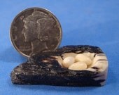 IGMA Artisan Bill Helmer Lathe Turned Half Inch Scale Mammoth Ivory Nest & Eggs