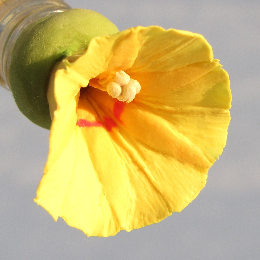 HUMMINGBIRD FEEDER--Yellow Ipomoea with Red Ring on Square Clear Bottle