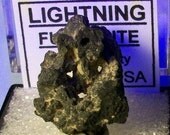 MYSTERIOUS JESUS FACE Lightning Fulgurite a/k/a Zeus Face / Lightning-Man In Perky Specimen Box From Colorado United States Free Shipping