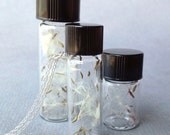 bottle of wishes