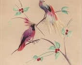 Antique Feather Artwork -  Tropical Bird Prints / Watercolors