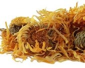 Calendula Hydrosol Two Ounce Flower Water With Mister Top for Skin Care