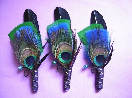 Peacock Feathery Boutonniere