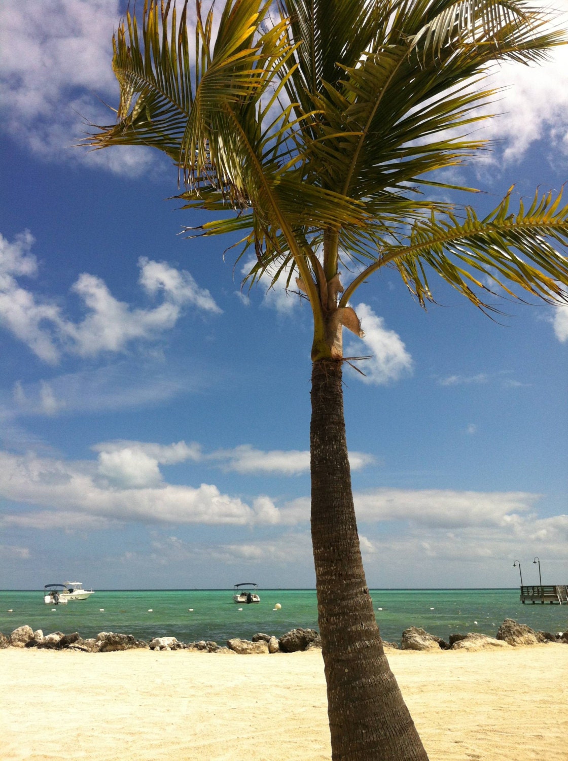 Islamorada, FL photograph