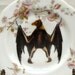 Victorian Fruit Bat Altered Vintage China Wall Plate Pink Flowers