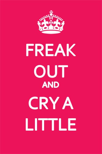 Freak Out and Cry A Little Poster Print 8x12 Keep Calm and Carry On Spoof