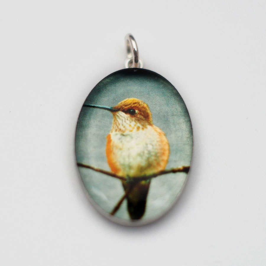 Hummingbird in Sterling Silver and Resin Oval Pendant with Fine Art Photo Transfer