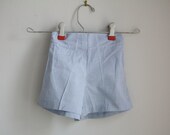 Vintage Blue Checkered Little Duckie Shorts and Shirt