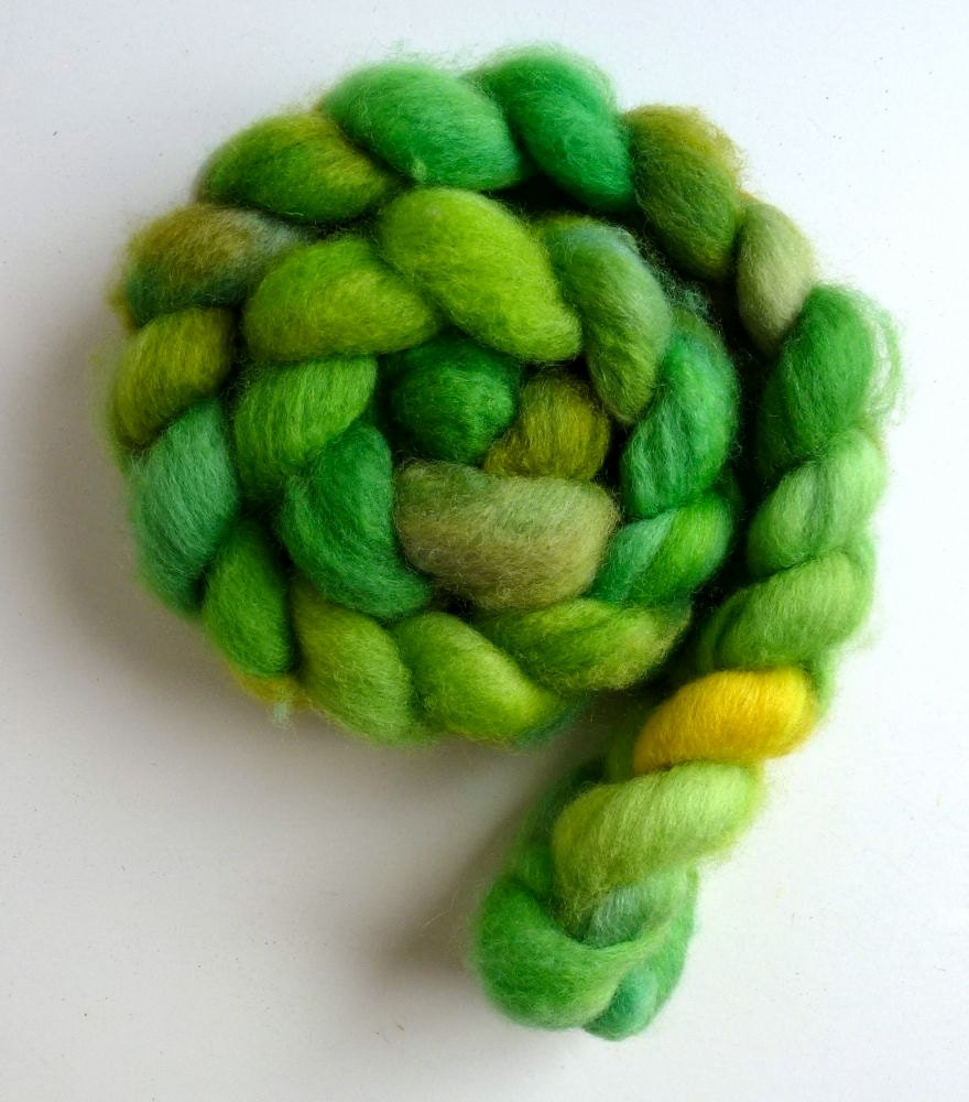 BFL Wool Roving - Hand Painted Spinning or Felting Fiber, 4 ounces, Before Mowing