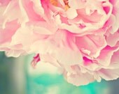 Fine art photography  - Peony flower vase image, Cottage style photography print -  pale pink peony