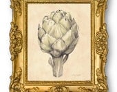 Artichoke I Botanical Print - Vintage Look 8x10