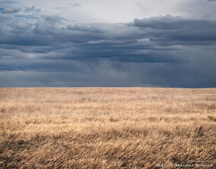 Prairie Landscape Art -Storm Cloud -Stormy Sky -Minimalist Print -Home Decor -Nature Photography -11x14 Colorado Fine Art Photograph