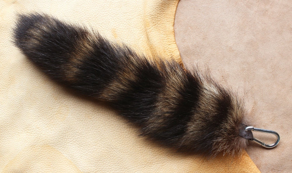 Raccoon tail - real eco-friendly wild raccoon fur totem dance tail on extra strong carabiner keychain for shamanic ritual and dance RS04