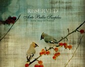 RESERVE for Debi, 3/2465
