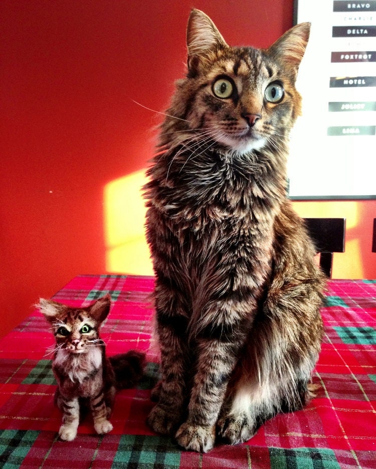 Custom Pet Portrait needle felted Maine Coon cat sculpture