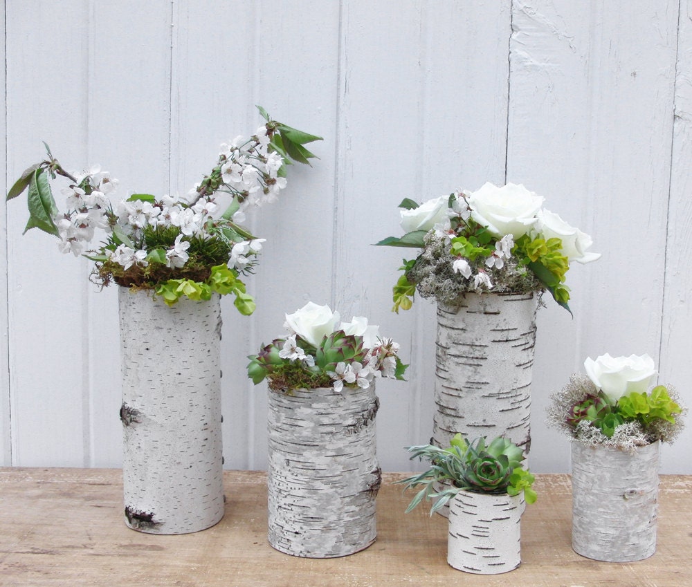 Sale, Collection of 5 birch bark vases/candle holders