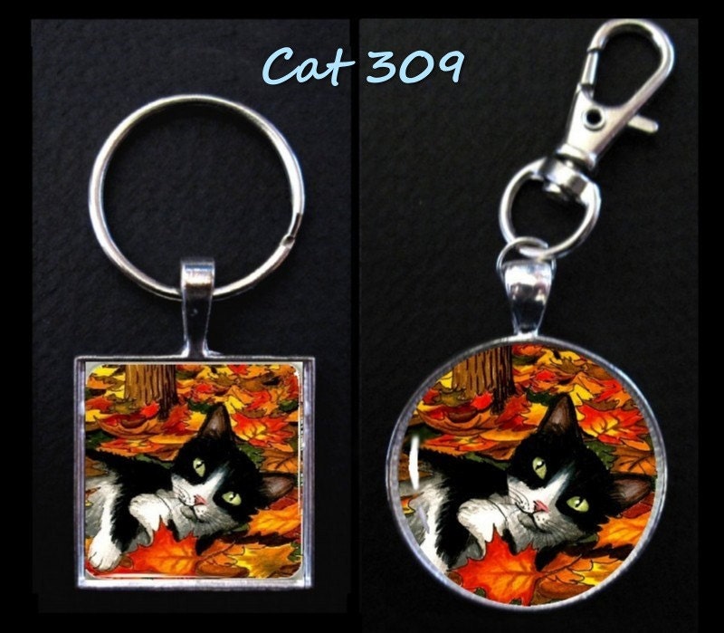 Key Chain Pull Purse Charm tuxedo Cat 309 or 446 ladybug fall glass tile 1 inch or Round 30mm