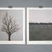 set of two archival 8x10 prints // trees // from my original tree and landscape paintings // by natasha newton