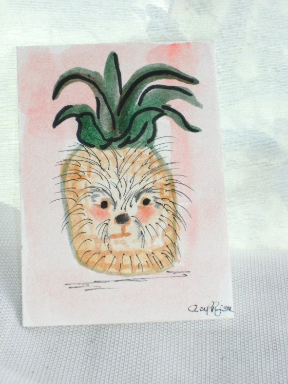 Pineapple Porcupine love child Porcapple